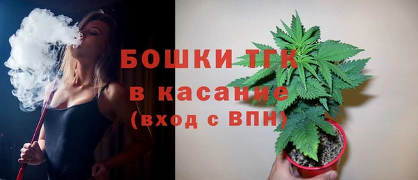 прущие грибы Алзамай