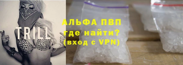 прущие грибы Алзамай