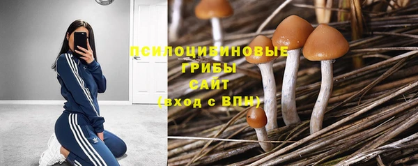 дживик Алексеевка