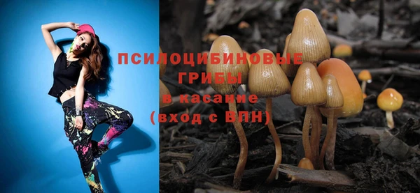 прущие грибы Алзамай